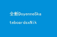 ȫDoyenneSkateboardsxNikeSBBlazerLowͼع