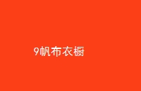 9³