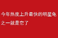 ȶǹ֮һ